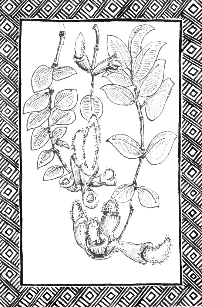 Slide 13